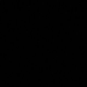 Meet your Posher, Christy